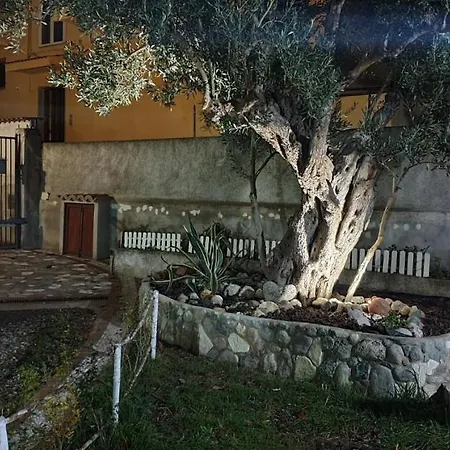 Magnolia * Catanzaro